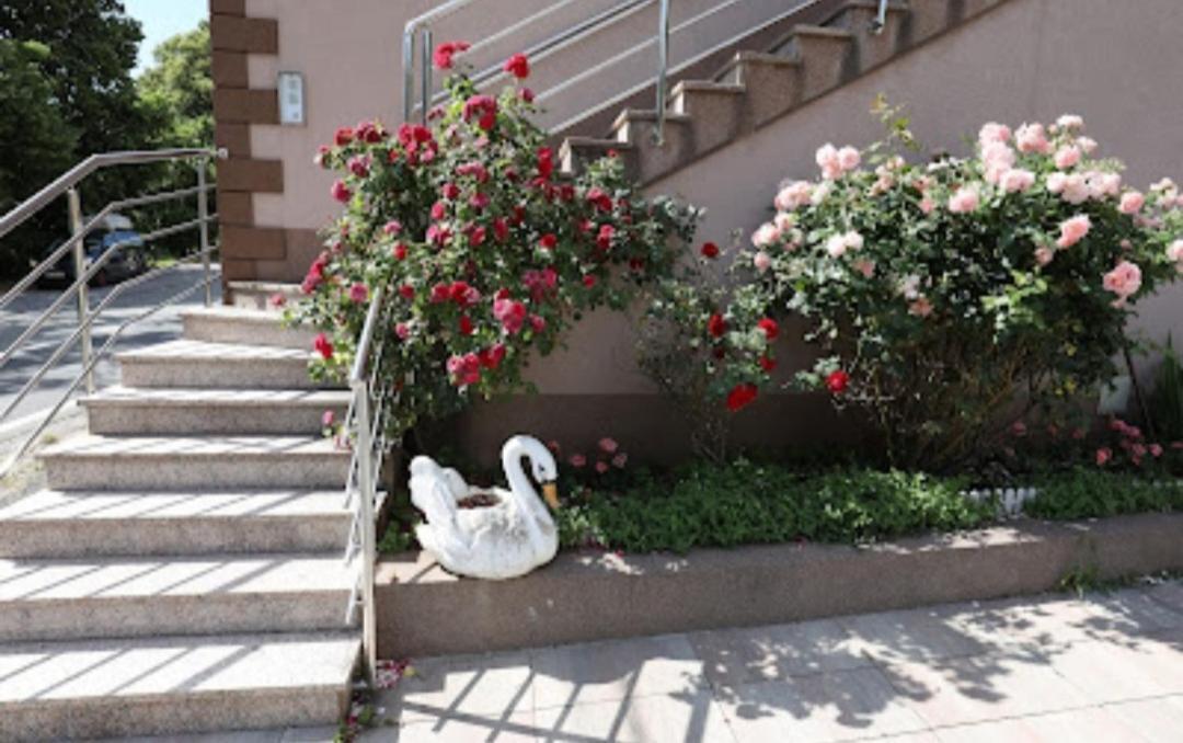 Rooms Odmaraliste Jablan 센 외부 사진